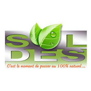 Logo - SCL DES